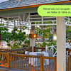 selloffvacations-prod/HOTEL CHAINS & LOGOS/Melia International Hotels/New Resorts Pages/Melia Jardines Del Rey/Ecomm/OUTPUT/SOV_MeliaJardinesDelRey_Ecomm_Carousel_1920x1080_FR_h